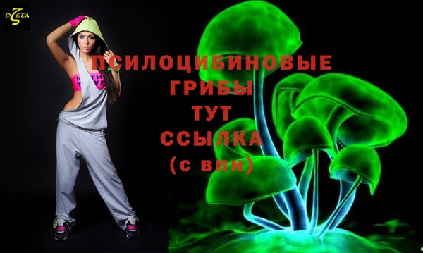 мдпв Вяземский