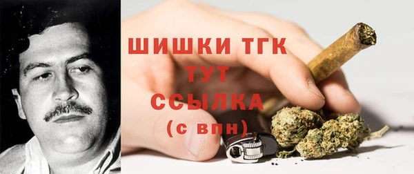 мдпв Вяземский