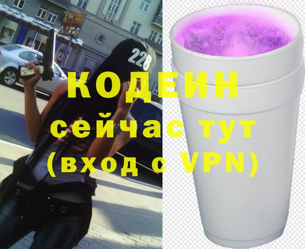 мдпв Вяземский