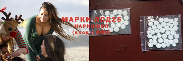 ГАЛЛЮЦИНОГЕННЫЕ ГРИБЫ Вязьма