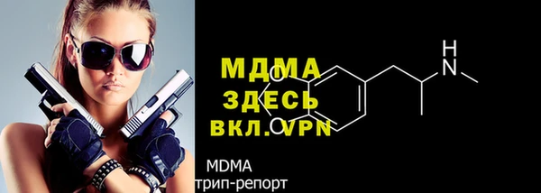 мдпв Вяземский