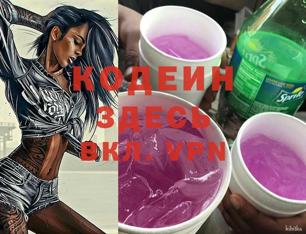 мдпв Вяземский