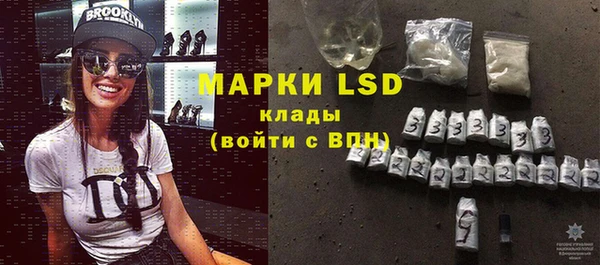 мдпв Вяземский