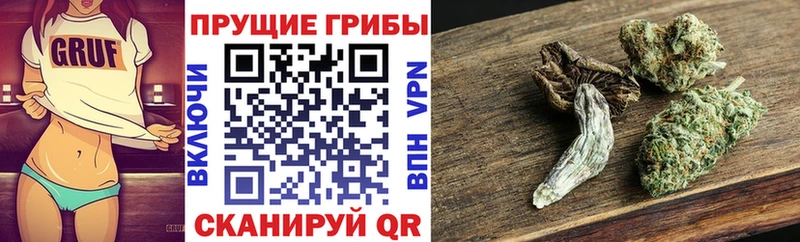 Галлюциногенные грибы Cubensis  Купить где  Бавлы 